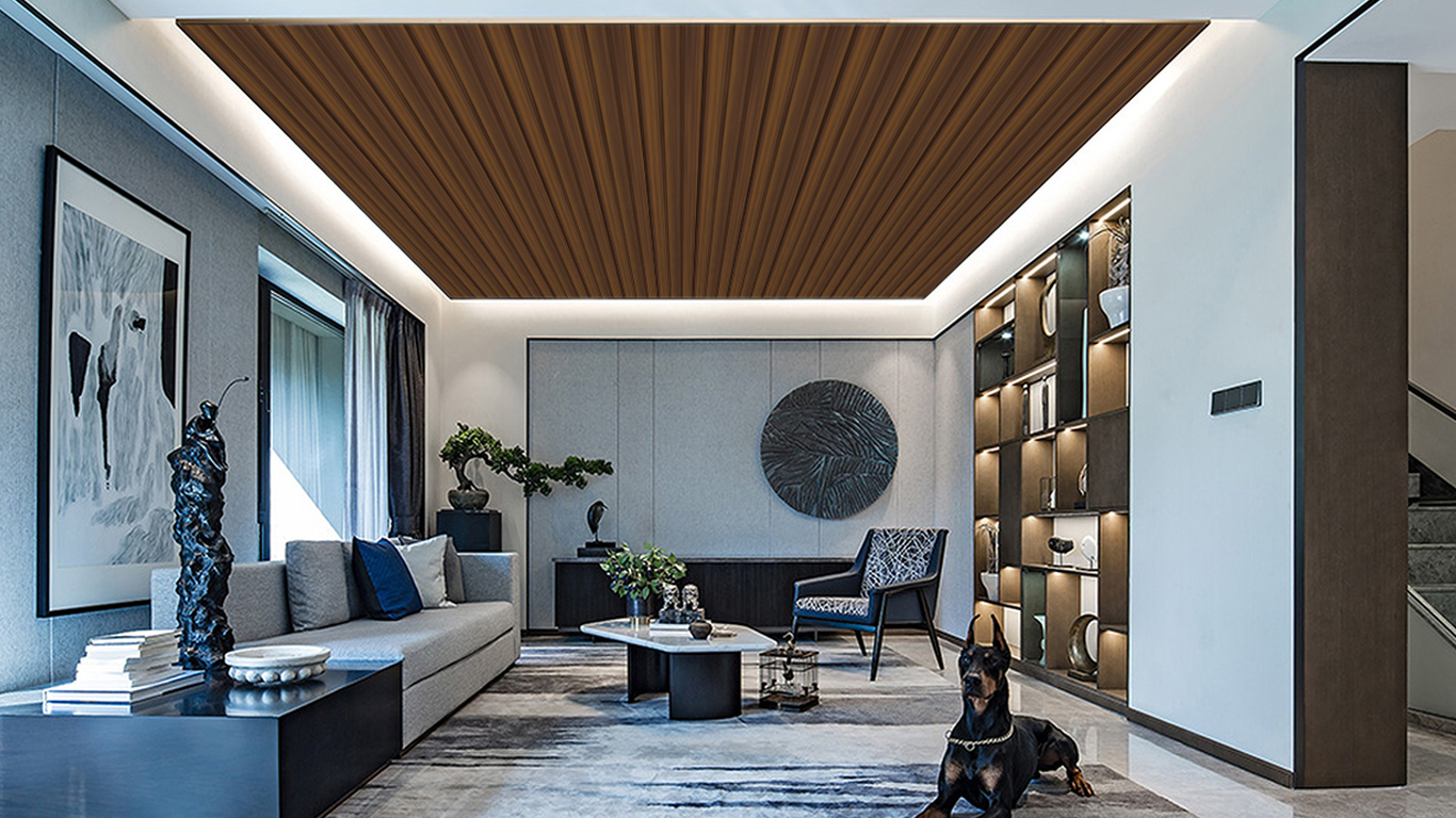 PVC Ceiling Design